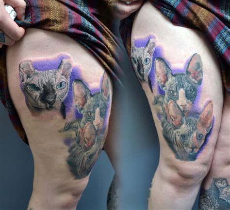 Sphynx Cat Portrait by Alan Aldred: TattooNOW