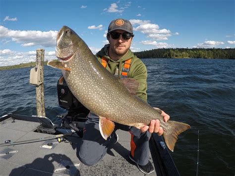 JIGGING UP FALL LAKE TROUT | Sunset Country, Ontario, Canada