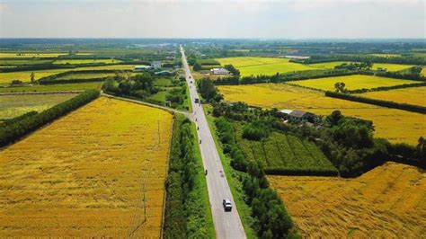 Long An Province | Vietnam Motorbike Tours