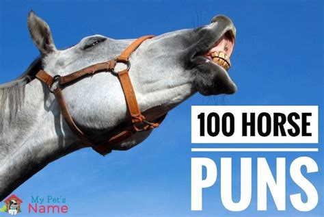 100 Horse Puns & One Trick Jokes From The Horse’s Mouth – My Pet's Name | Horse puns, Horses ...