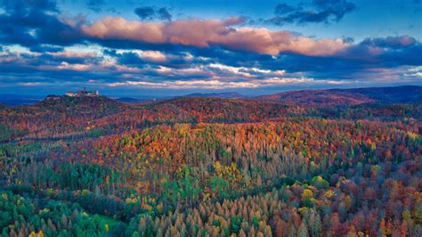 3840x2160 Autumn Leaves In The Thuringian Forest 4K ,HD 4k Wallpapers ...