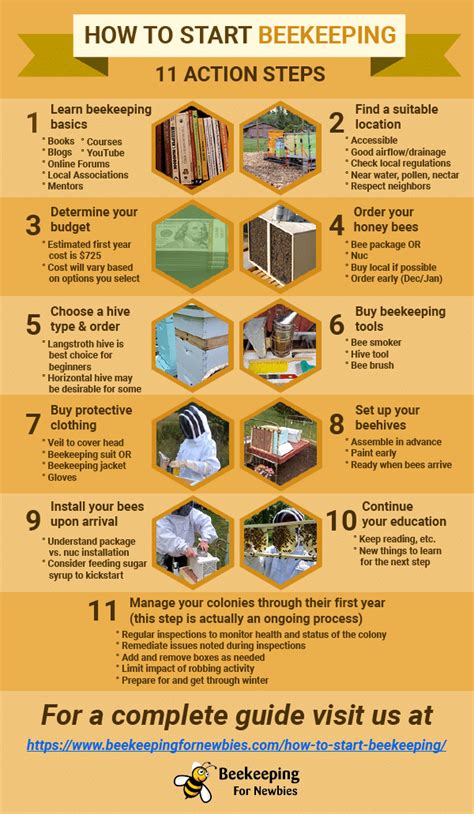 How To Start Beekeeping (A Complete Guide) - Beekeeping For Newbies