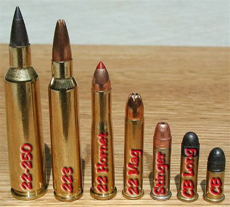 Pin on Ammunition