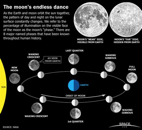 Earth’s Moon Phases, Monthly Lunar Cycles (Infographic) - The Watchers