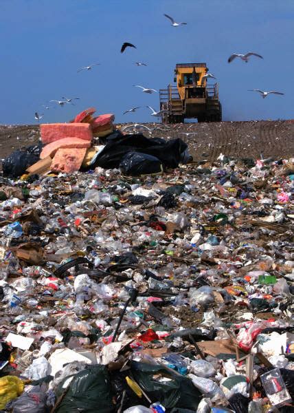 Landfill Decomposition Rates For Common Items - Ways2GoGreen Blog