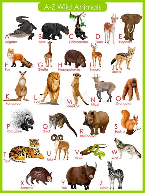 Photo about Easy to edit vector illustration of chart of A to Z wild animals. Illustration of ...