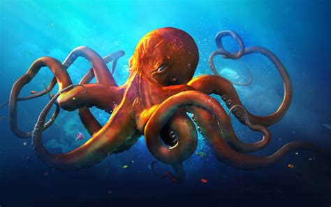 Cute Octopus Wallpaper (43+ images)