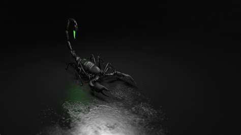 Black Scorpion Wallpaper