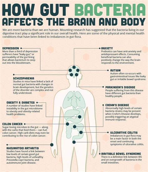 Infographic : How Gut Bacteria Affects the Brain And Body - Health Blog ...