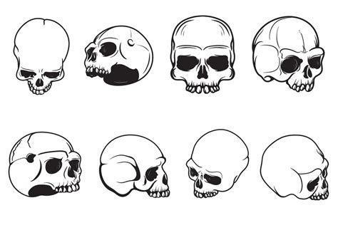 Set of skull drawings of human skull Vector 13593294 Vector Art at Vecteezy