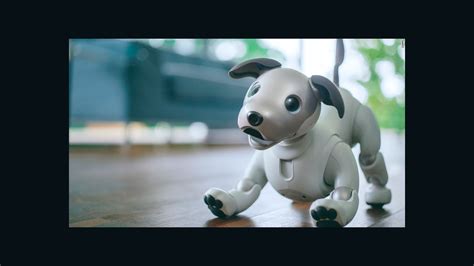 Sony's Aibo robot dog is back - CNN Video