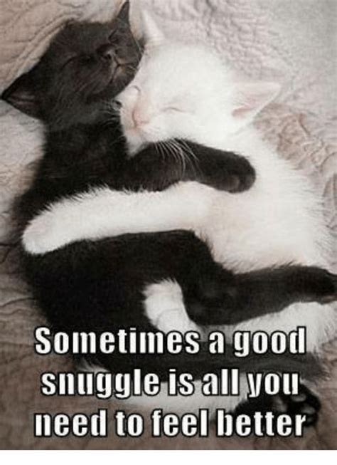 15 Snuggle Memes You Won't Get Enough Of | SayingImages.com | Funny relationship memes, Cute ...