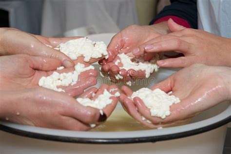 Cheese making, curd stock image. Image of hands, making - 36310087