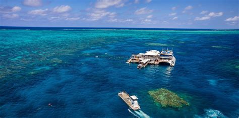 Great Barrier Reef Tours Port Douglas