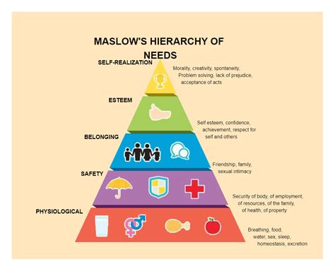 Maslow S Hierarchy Of Needs Chart Edrawmax Template | The Best Porn Website