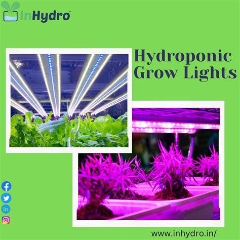 One of the Best Grow Lights | Inhydro by Inhydro on Dribbble