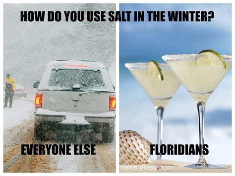 The 10 Best Florida Winter Memes - I Love South Florida