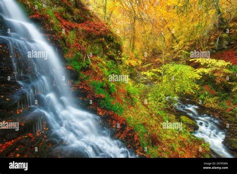 The Birks of Aberfeldy, Aberfeldy, Perthshire, Scotland Stock Photo - Alamy