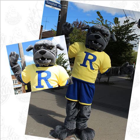 7 Most Popular Types of High School Mascots - Custom Mascot Costumes | Mascot Maker For ...