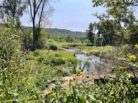 Best Hikes and Trails in Yellow River State Forest | AllTrails