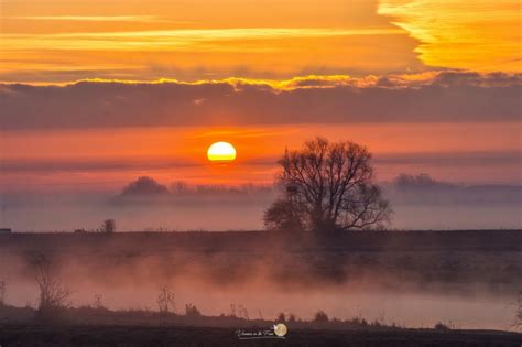 Misty Sunrise | MATTHEW'S ISLAND