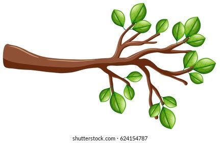 Tree Branch Clip Art Royalty-Free Images, Stock Photos & Pictures ...