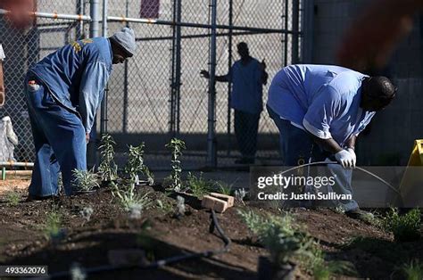 California State Prison Solano Photos and Premium High Res Pictures ...