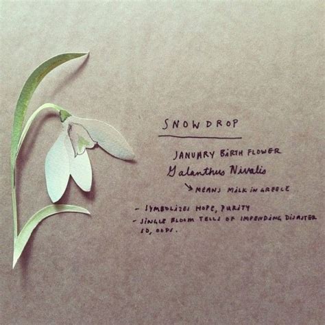 Snowdrop Story - Snowdrop Kdrama