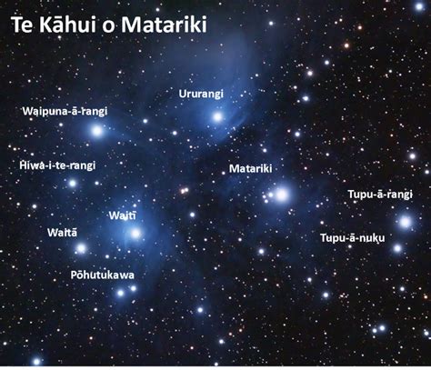 Finding Matariki – Kiwi Conservation Club