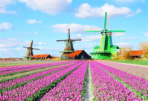 Wall Décor Prints Wall Hangings Holland Windmill etna.com.pe