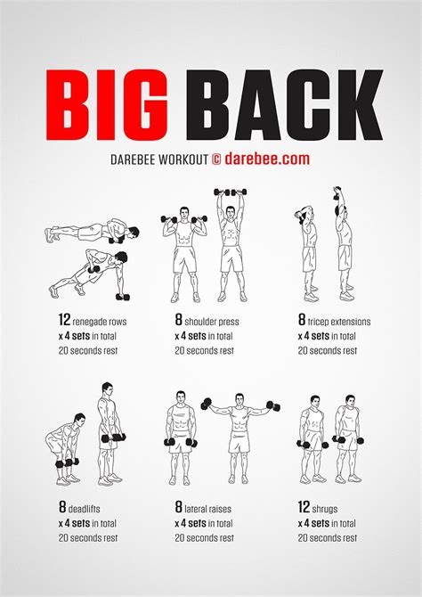 Bicg Back workout poster | Free weight workout, Workout posters, Big back workout