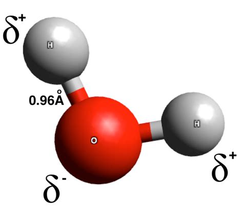 Difference Between Polar and Dipolar Molecules | Compare the Difference ...