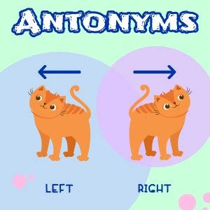 Worksheet Antonyms (words on different topics)