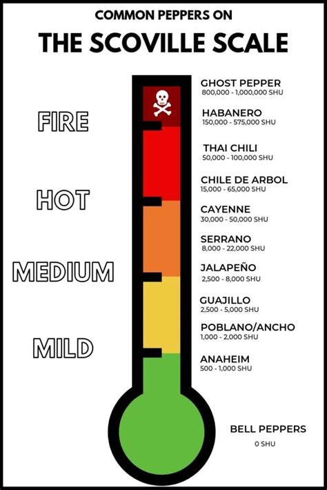 The Scoville Scale - A Guide to Hot Peppers | Isabel Eats