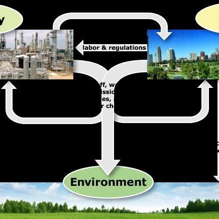 Illustrated diagram version of components and structures that ...