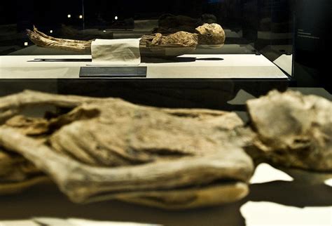 Final Days: Mummies of the World Exhibition at Bowers Museum - SoCal Field Trips