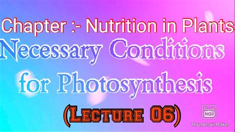 Necessary Conditions for Photosynthesis - YouTube