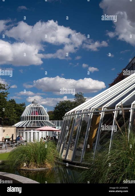 Norwich Castle Mall (now called Castle Quarter) Glass roof alfresco level, within the Castle ...