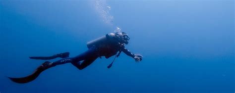 Best Galapagos Diving Tours Santa Cruz