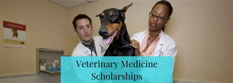 Veterinary Scholarships | JLV College Counseling