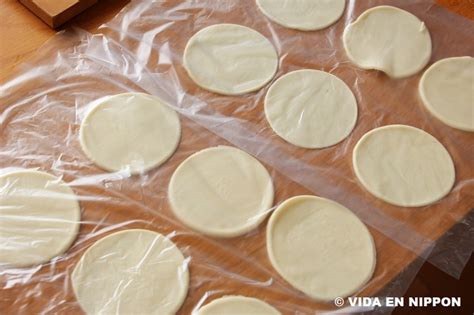 VIDA EN NIPPON | Gyoza recipe | Making homemade potstickers from skin