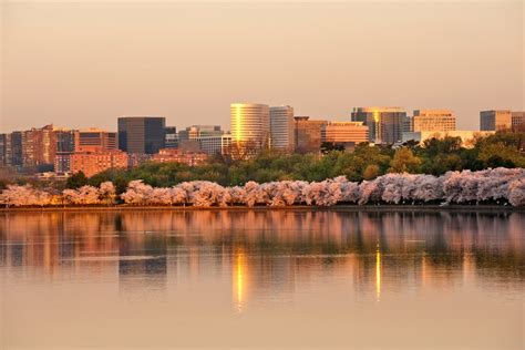 Neighborhood Spotlight: Downtown Arlington (Rosslyn/Courthouse ...