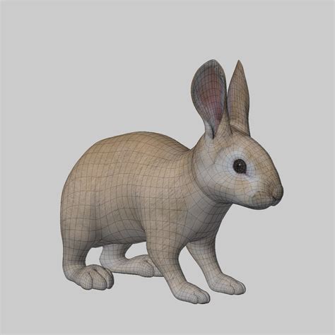 3d model rabbit cream fur animation