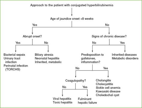 Hyperbilirubinemia Pathophysiology