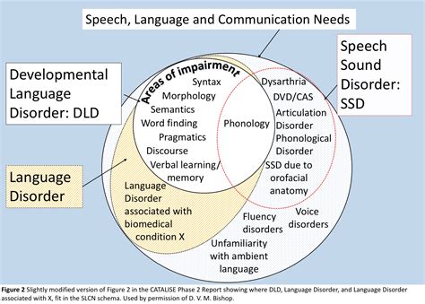 Developmental Language Disorder – Best Event in The World