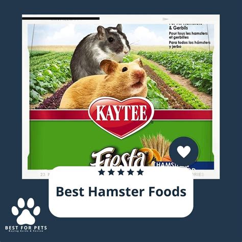 10 Best Hamster Foods - Reviews & Top Picks - BestForPets.org