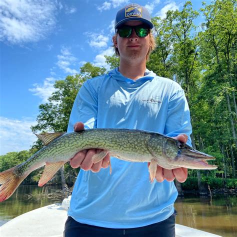 Epic Day On Roanoke River Largemouth Bass - Eastern NC Fishing Guide