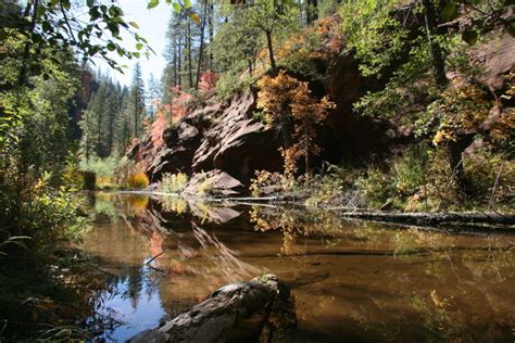 Discover Oak Creek Canyon | Blog | L'Auberge de Sedona