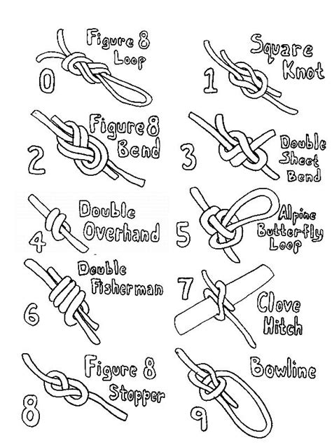 Know Your Knots? | Knots, Loop knot, Tie knots