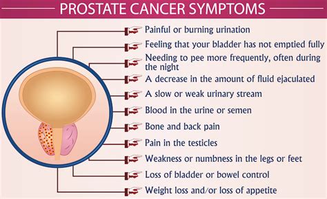 Get to Know Your Prostate - Medical Associates of Northwest Arkansas